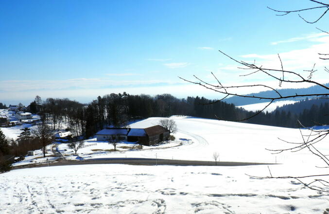 Kurz oberhalb der Gisstraße, P links