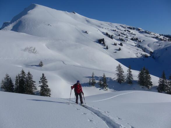 Hählekopf Südwestflanke