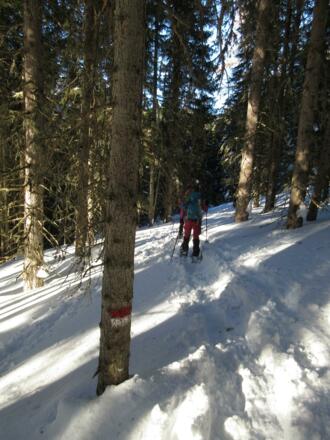 Auf Grund der Schneehöhe laufen wir fast auf Höhe der Markierungen, was die Wegfindung etwas erschwert.