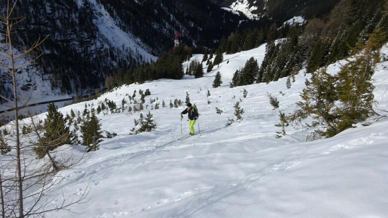 Rechts weg von der Rodelbahn und durch eine Schneise aufwärts.