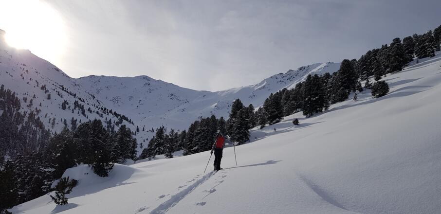 Die Richtung ist klar vorgegeben