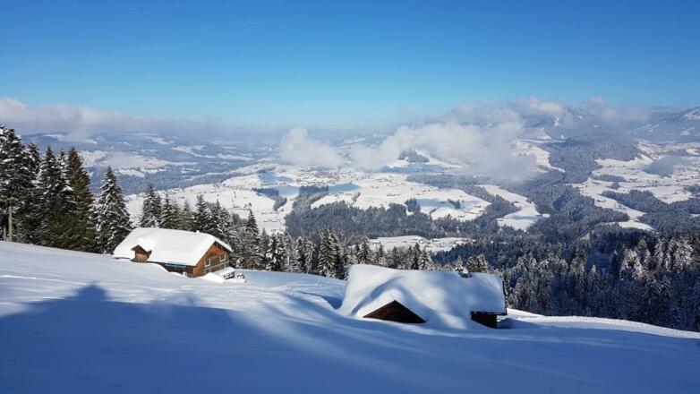 Blick in den Vorderwald vom Tannerberg, Alberschwende