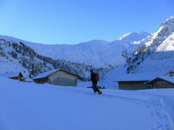 Viertelalm Niederleger