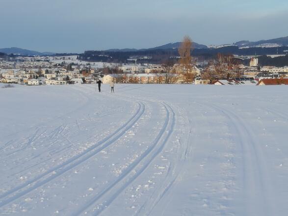 Langlaufloipe Freistadt