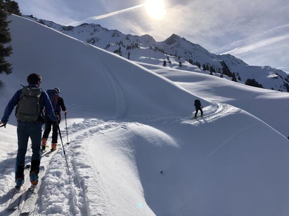 Kurz entlang der Forststraße queren