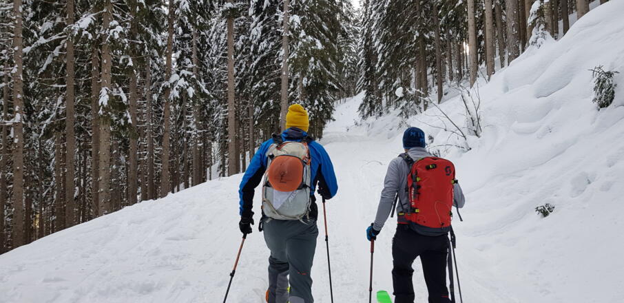 Anfang entlang der Forststraße