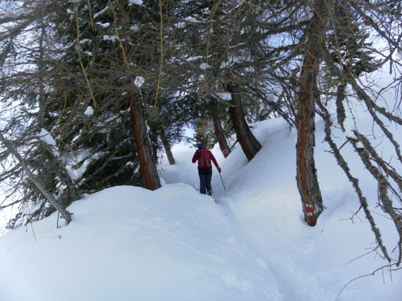 am Sommerweg zum Wetterkreuz