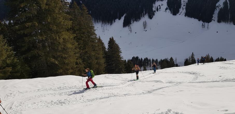 Aufstieg über schönes Wiesengelände