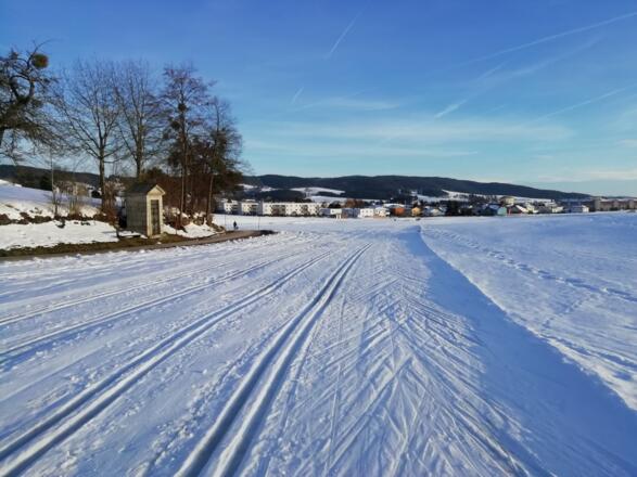 Langlaufloipe Freistadt