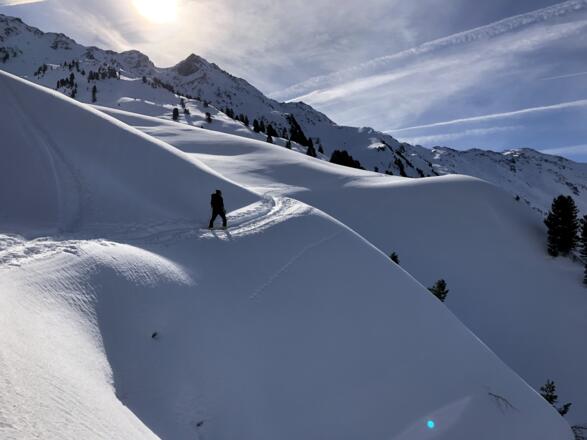 Kurz entlang der Forststraße queren