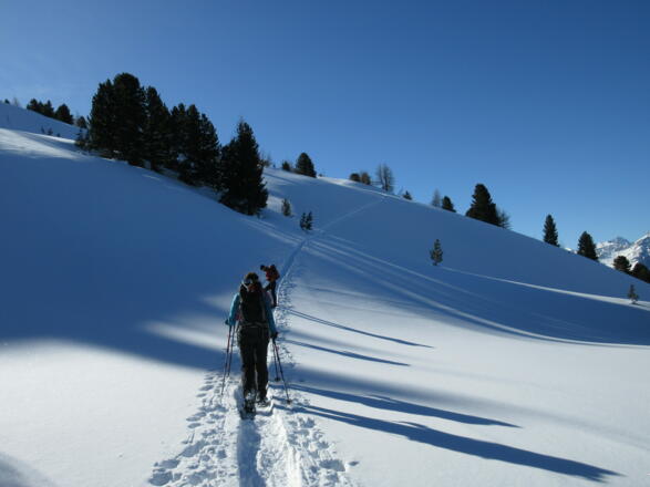 Anschließend geht es durch eher flaches Gelände.