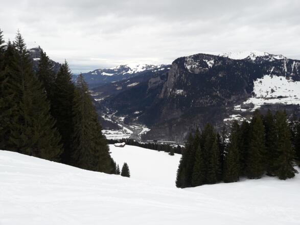 Am oberen Ende des Steilhanges