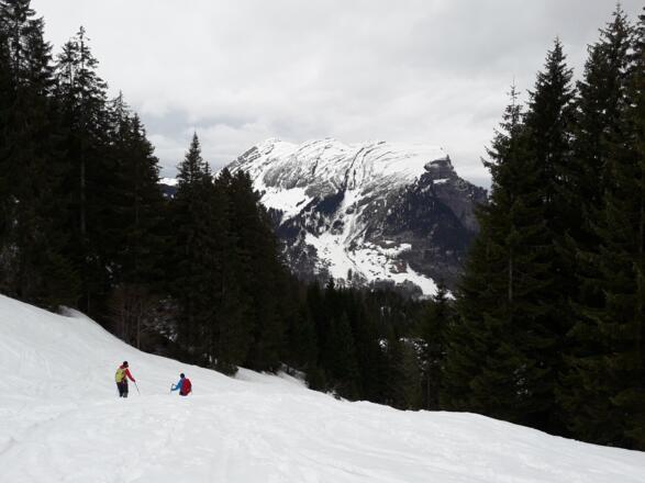 Im Abstieg oberhalb der Godlachalpe