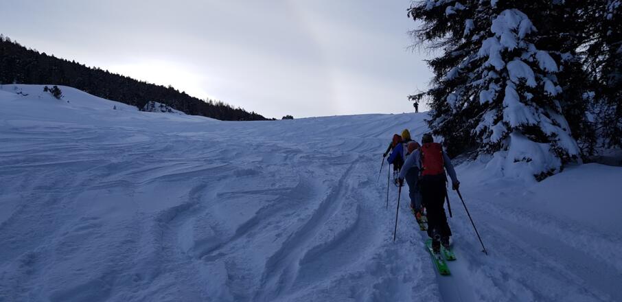 Bis sich bei der Studlalm der Wald lichtet