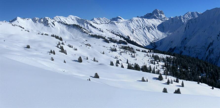 Falzalpe, Kreuzmandl, Grünhorn und Widderstein