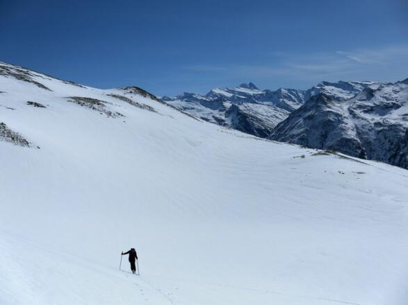 am breiten Seekopfsüdhang