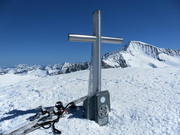 Großer Geiger mit Venedigerblick