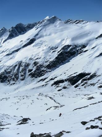 Maurerkees, Simonyspitzen