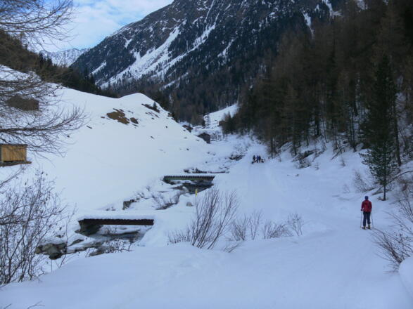 Naturrodelbahn im Horlachtal