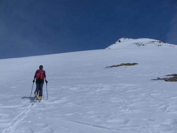 SW-Rücken des Seekopfes