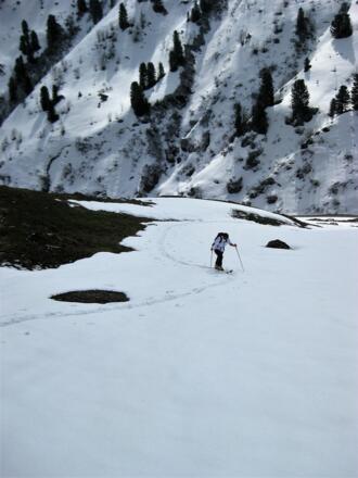 beim Pfundsalmmittelleger