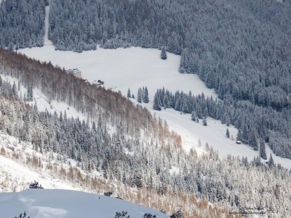 der Wallfahrtsort Maria Waldrast verschwindet wieder hinter den Bäumen