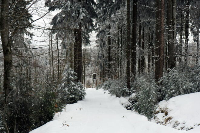 Ziehweg rechts nach Tschechien hinab