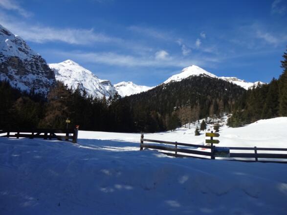 Bis sich das Gelände öffnet