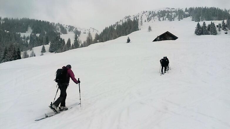 Scheibenschlag Niederalm