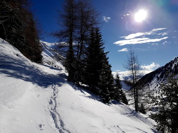 Kurz die Böschung hoch ins Tal