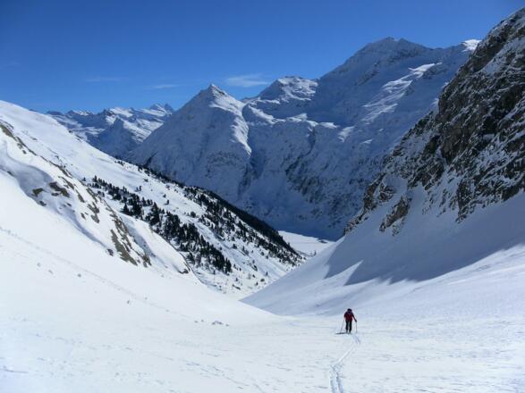 Wildenkogel aus dem Viltragental
