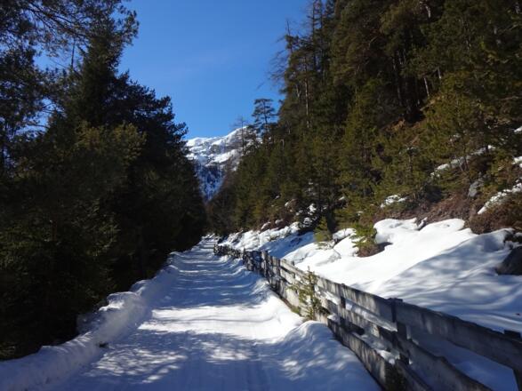 Zuerst entlang der Forststraße