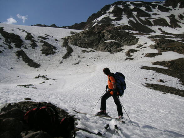 Rückzugsgebiet des Sayferners