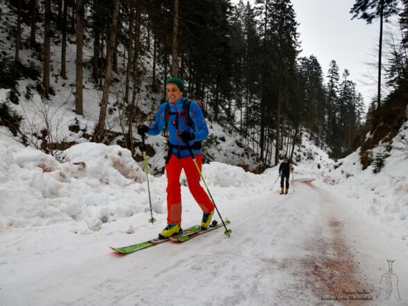 auf der Forststraße neben dem Bach aufwärts