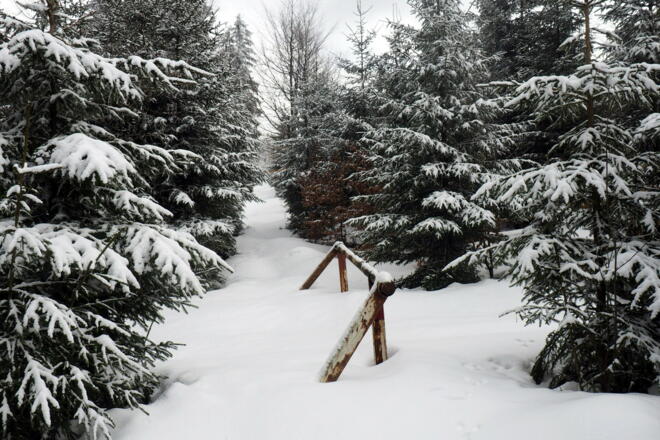 Schneise nach Österreich zum höchsten Windrad 1050m