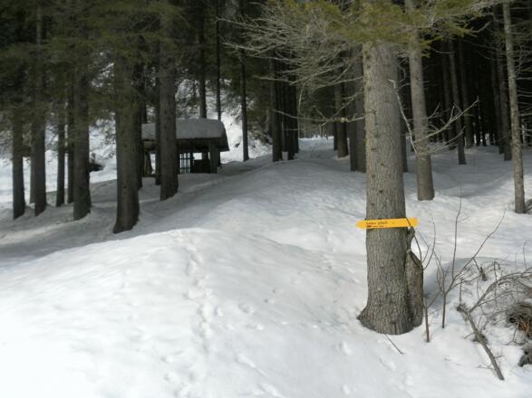 gute Winterwegbeschilderung