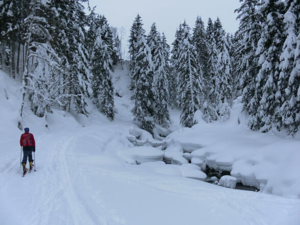 hinter der Erla Brennhütte
