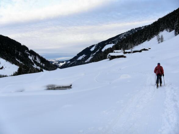 Martl-Erlaualm im Langen Grund