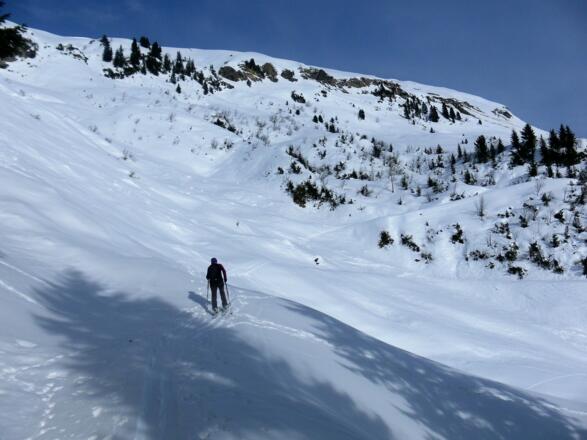 Almweg zur Mahdbergalpe