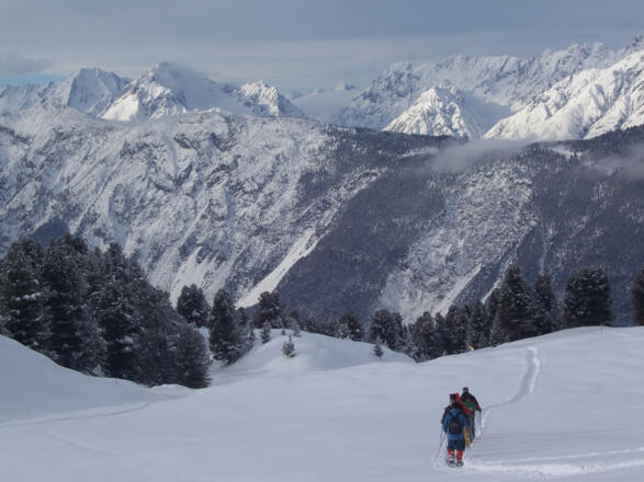 Schneeschuhwandern Feldringalm