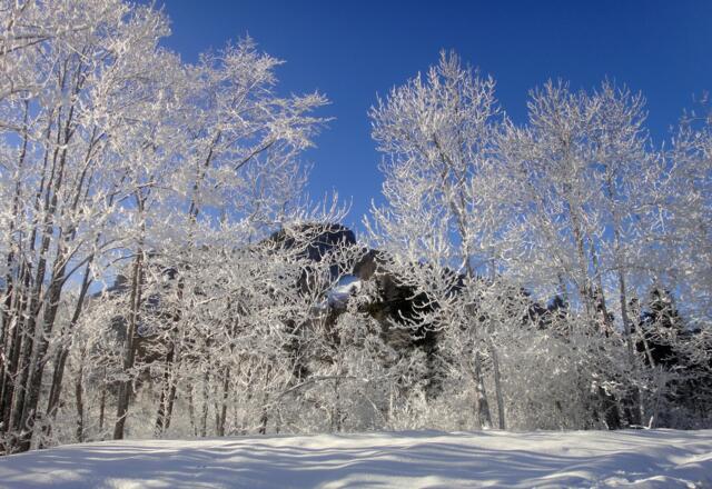 Winterlandschaft in Reuthe