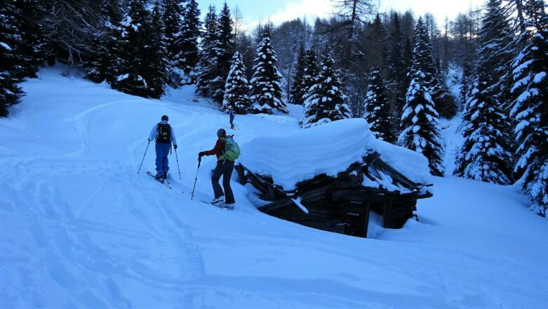 ... und Lichtungen hinauf ...