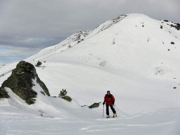 am Nordrücken gegenüber dem Niederjochkogel
