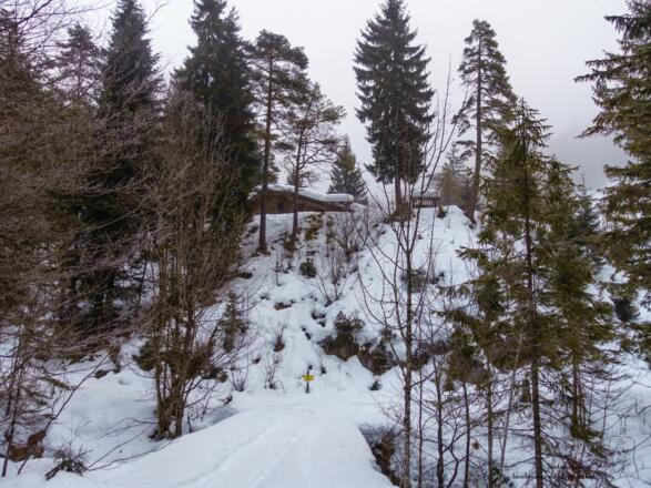 hinter der Wildfütterung dann am Rücken entlang
