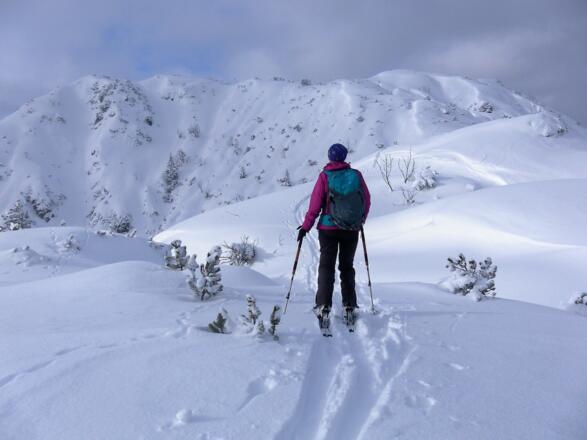 Verbindungsrücken zum Kirchberg