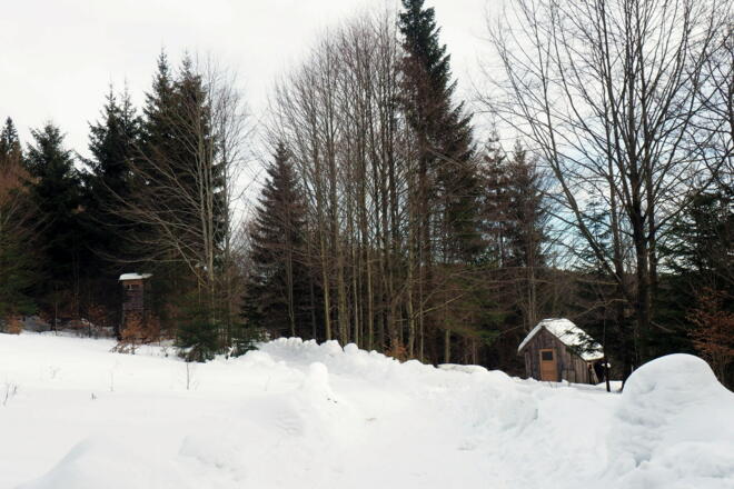 Schlussanstieg Hirschberg links (845m) ab