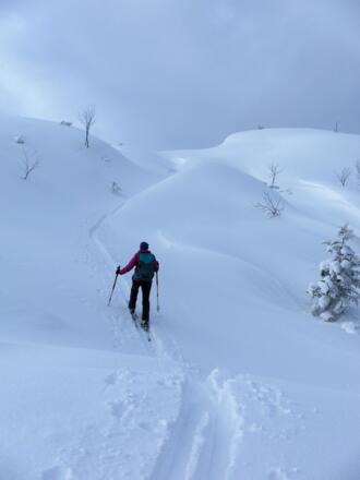 Gipfelhang des Kirchbergs