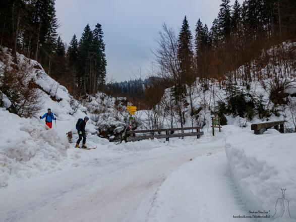 bei der Abfahrt wieder zurück auf die große Forststraße