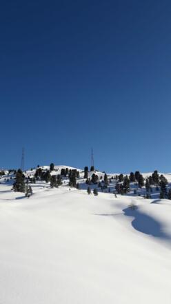 Winterwanderweg Feldring Alm