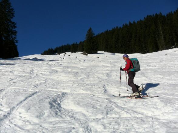 steile Almwiesen zur Neubergalm